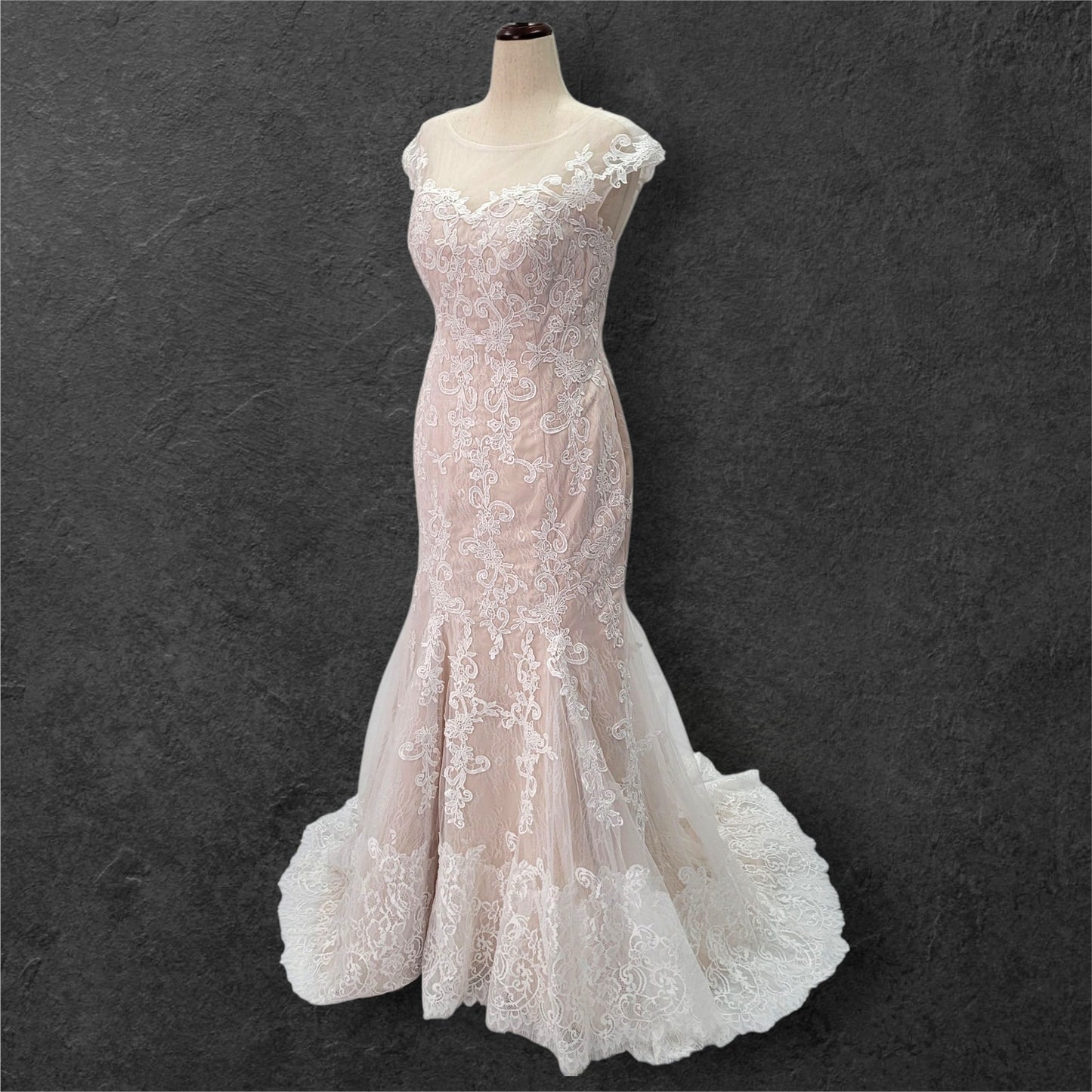 Beige Fit N Flair Cap Sleeve Wedding Dress with Mesh Back and Lace Overlay