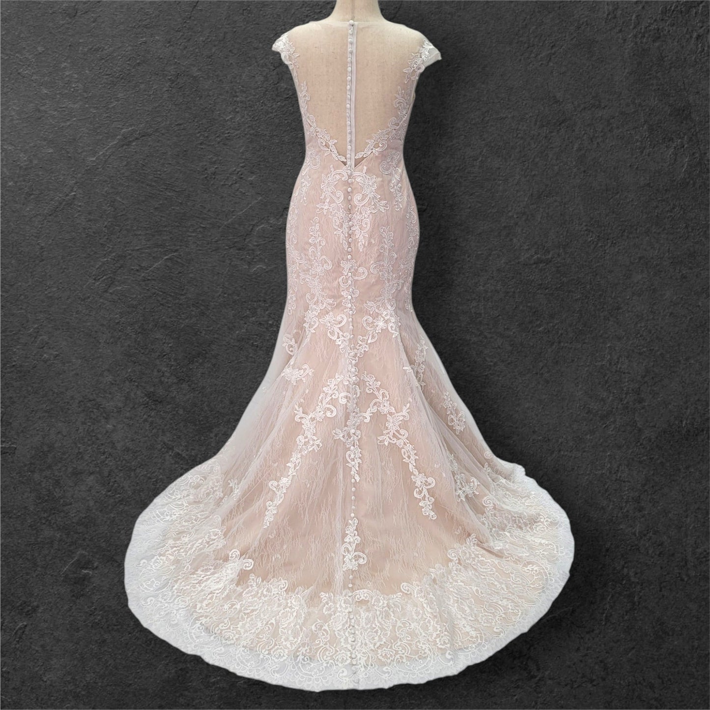 Beige Fit N Flair Cap Sleeve Wedding Dress with Mesh Back and Lace Overlay