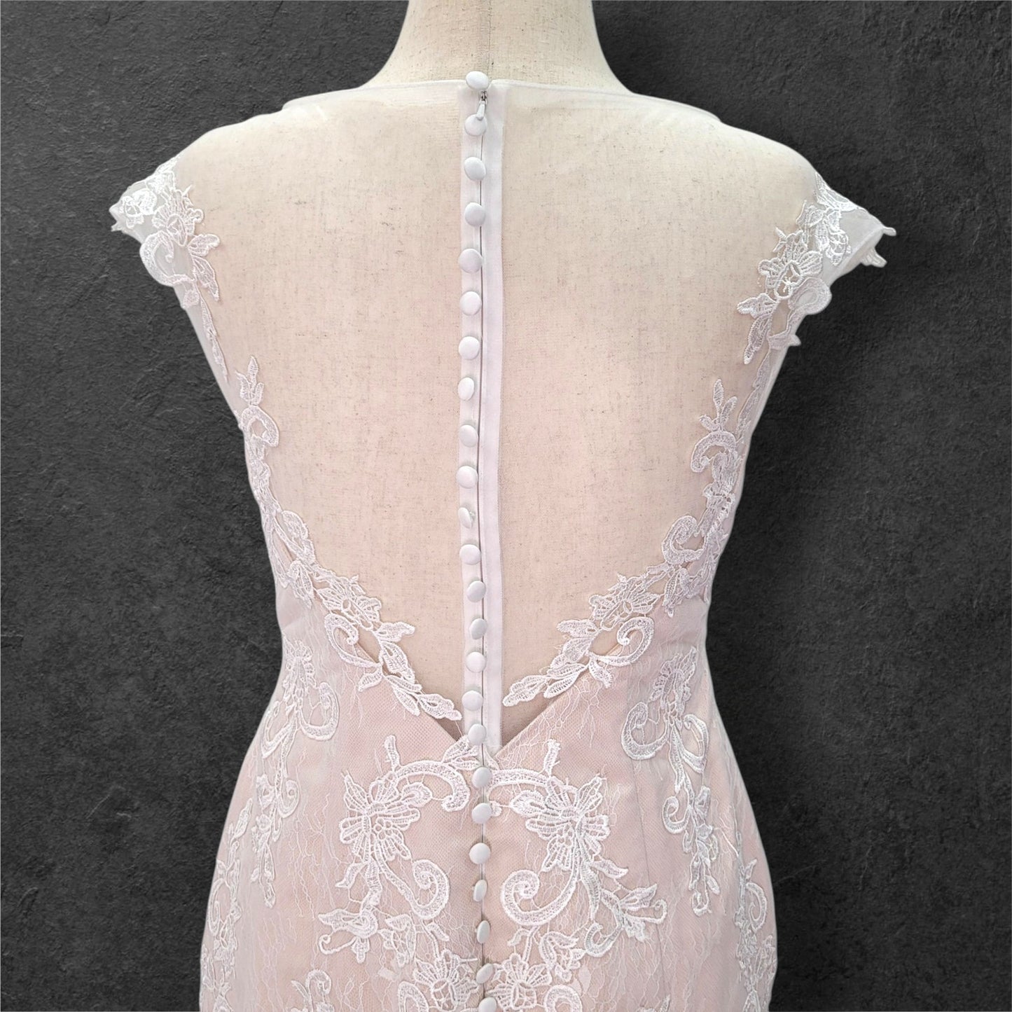 Beige Fit N Flair Cap Sleeve Wedding Dress with Mesh Back and Lace Overlay