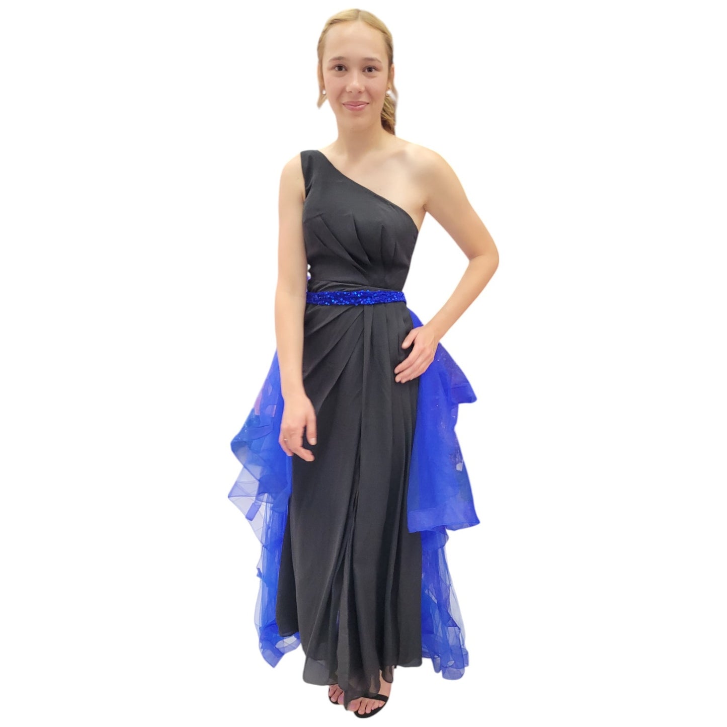 Detachable Royal Blue Tulle Skirt