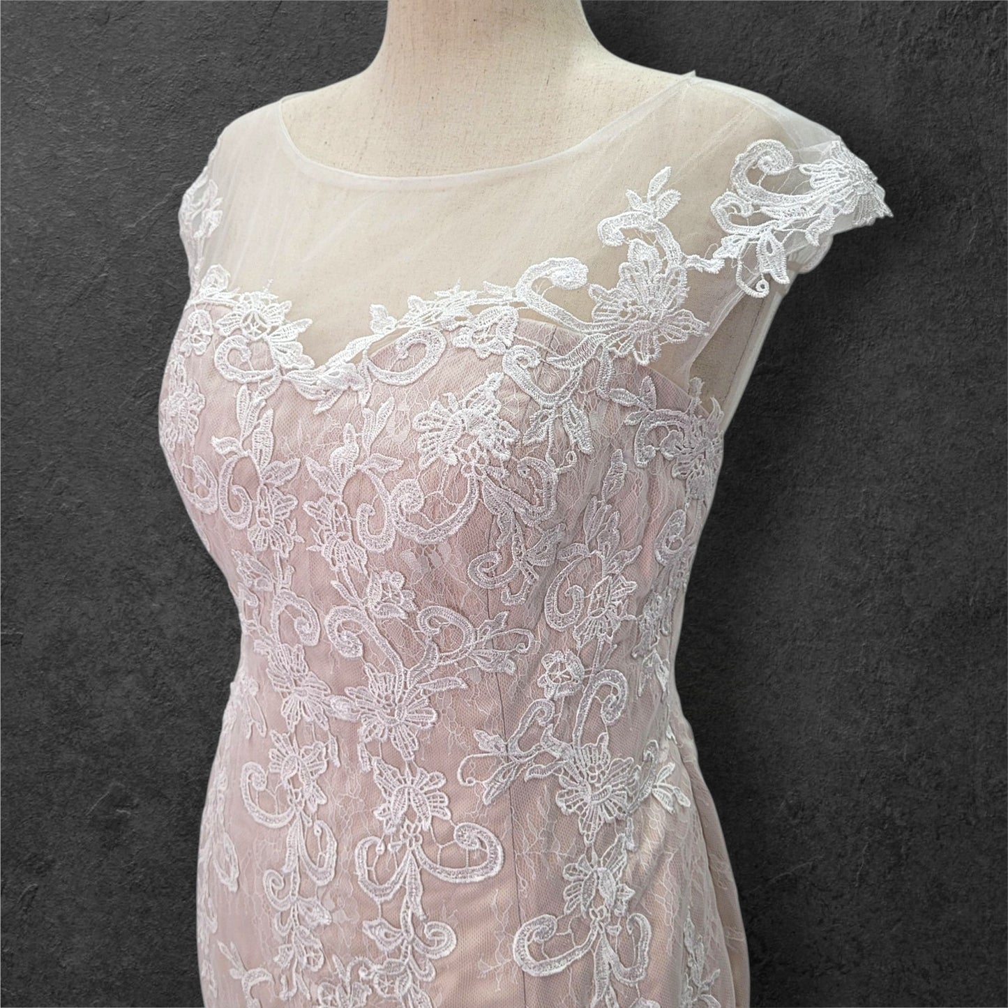 Beige Fit N Flair Cap Sleeve Wedding Dress with Mesh Back and Lace Overlay