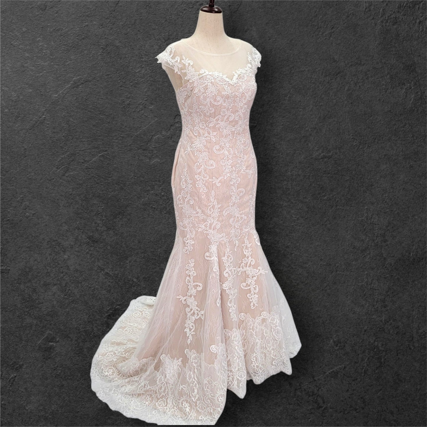 Beige Fit N Flair Cap Sleeve Wedding Dress with Mesh Back and Lace Overlay