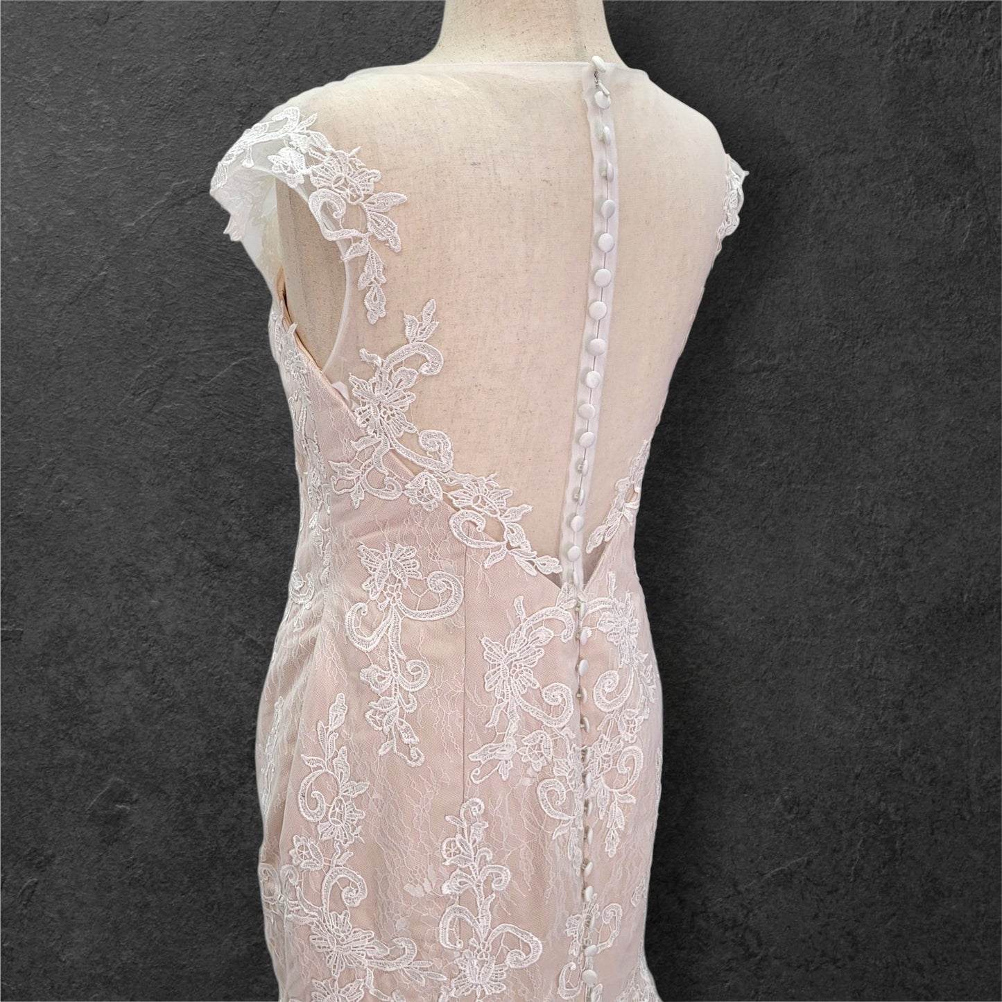 Beige Fit N Flair Cap Sleeve Wedding Dress with Mesh Back and Lace Overlay