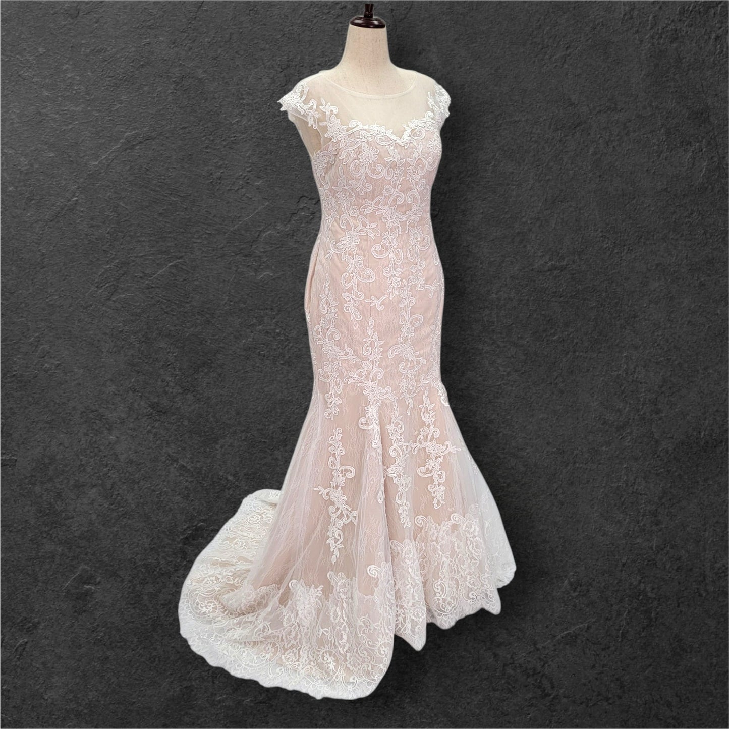Beige Fit N Flair Cap Sleeve Wedding Dress with Mesh Back and Lace Overlay