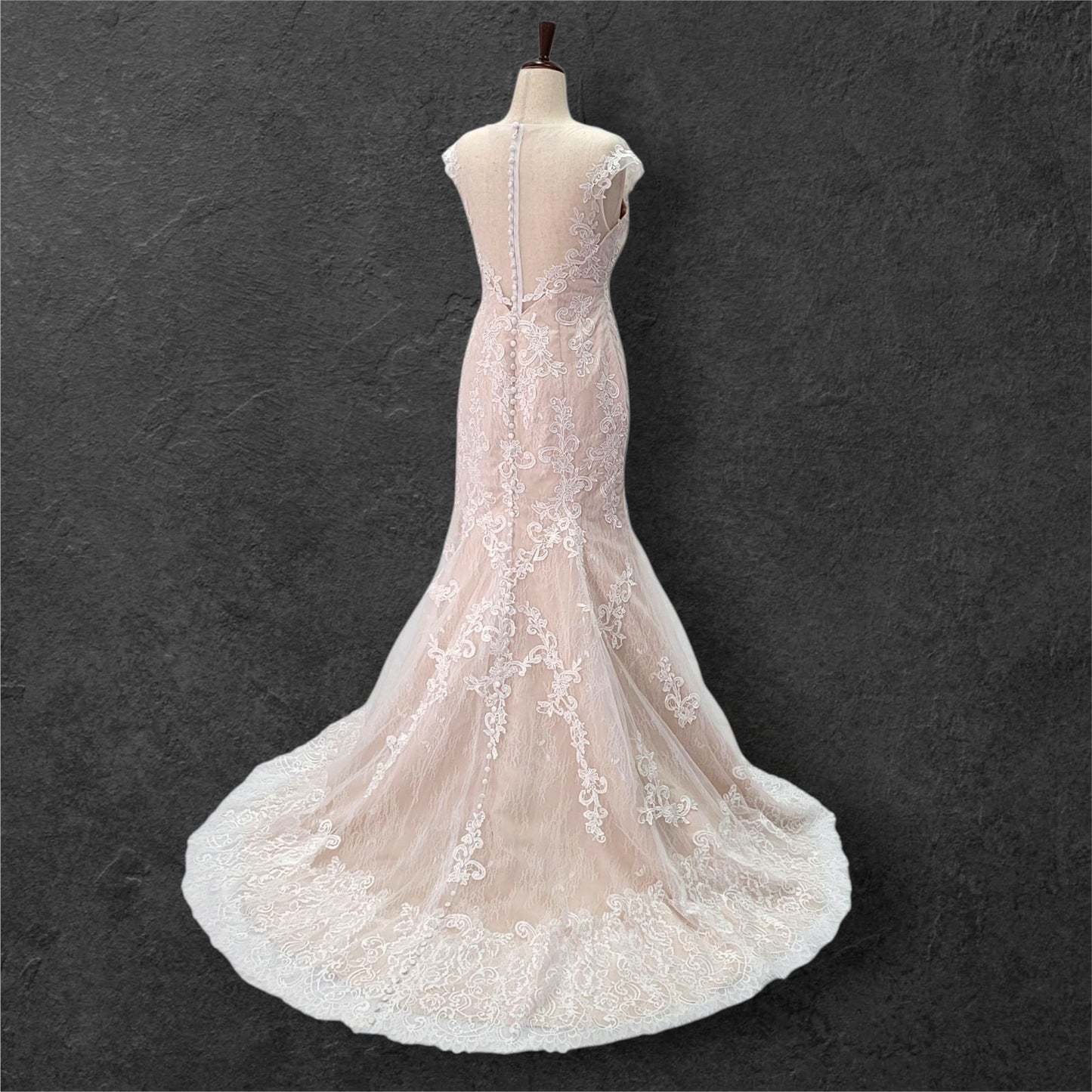 Beige Fit N Flair Cap Sleeve Wedding Dress with Mesh Back and Lace Overlay