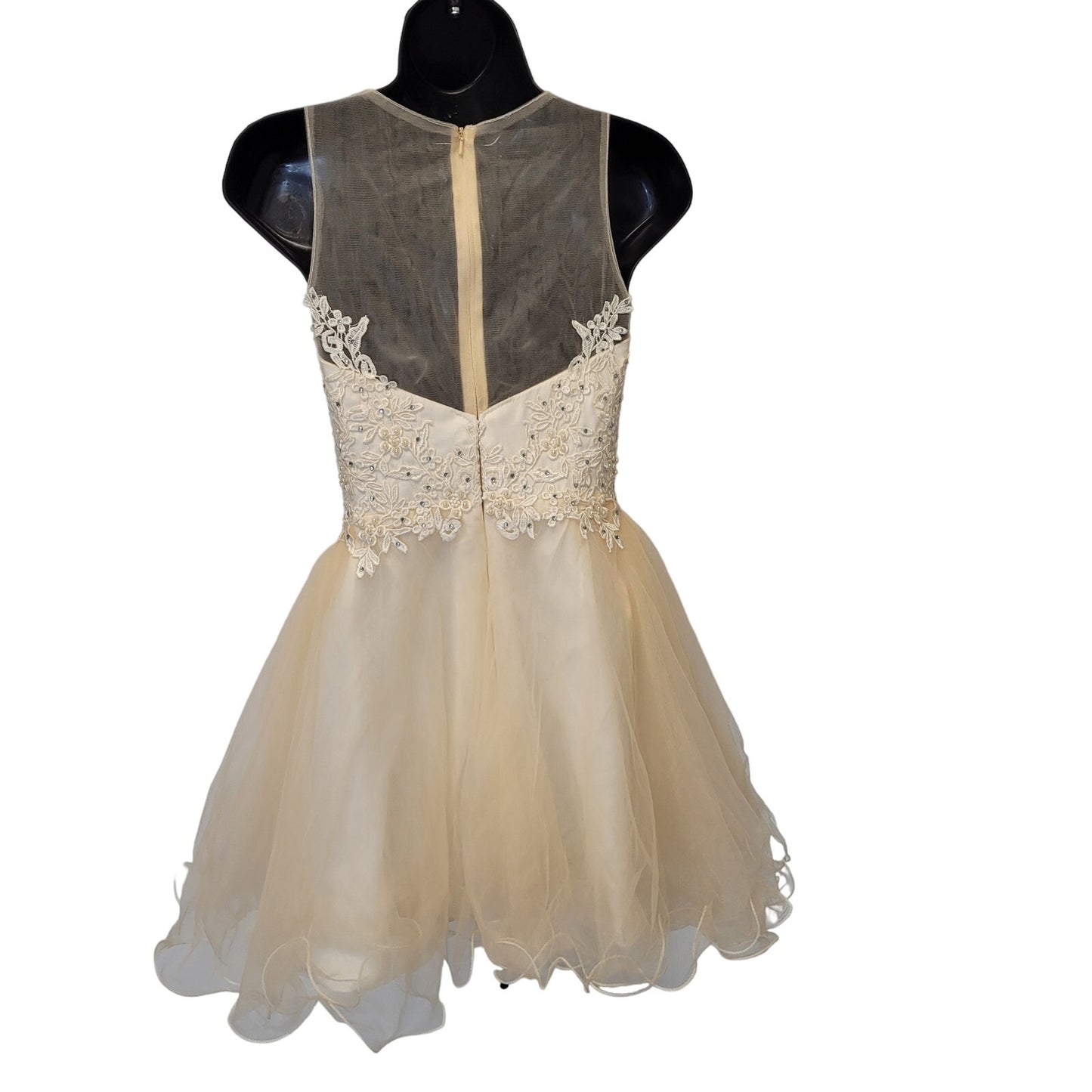 Women's Vanilla Short Mesh Sweetheart Dress