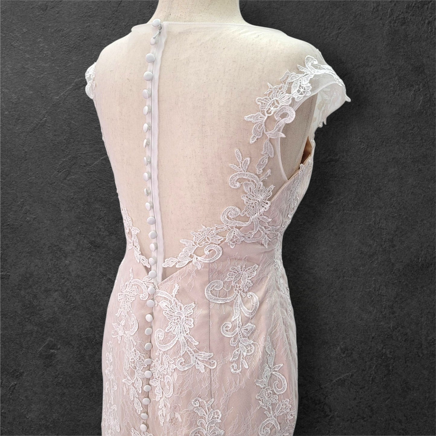 Beige Fit N Flair Cap Sleeve Wedding Dress with Mesh Back and Lace Overlay