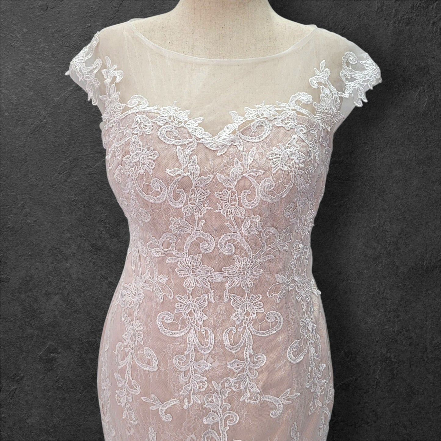 Beige Fit N Flair Cap Sleeve Wedding Dress with Mesh Back and Lace Overlay