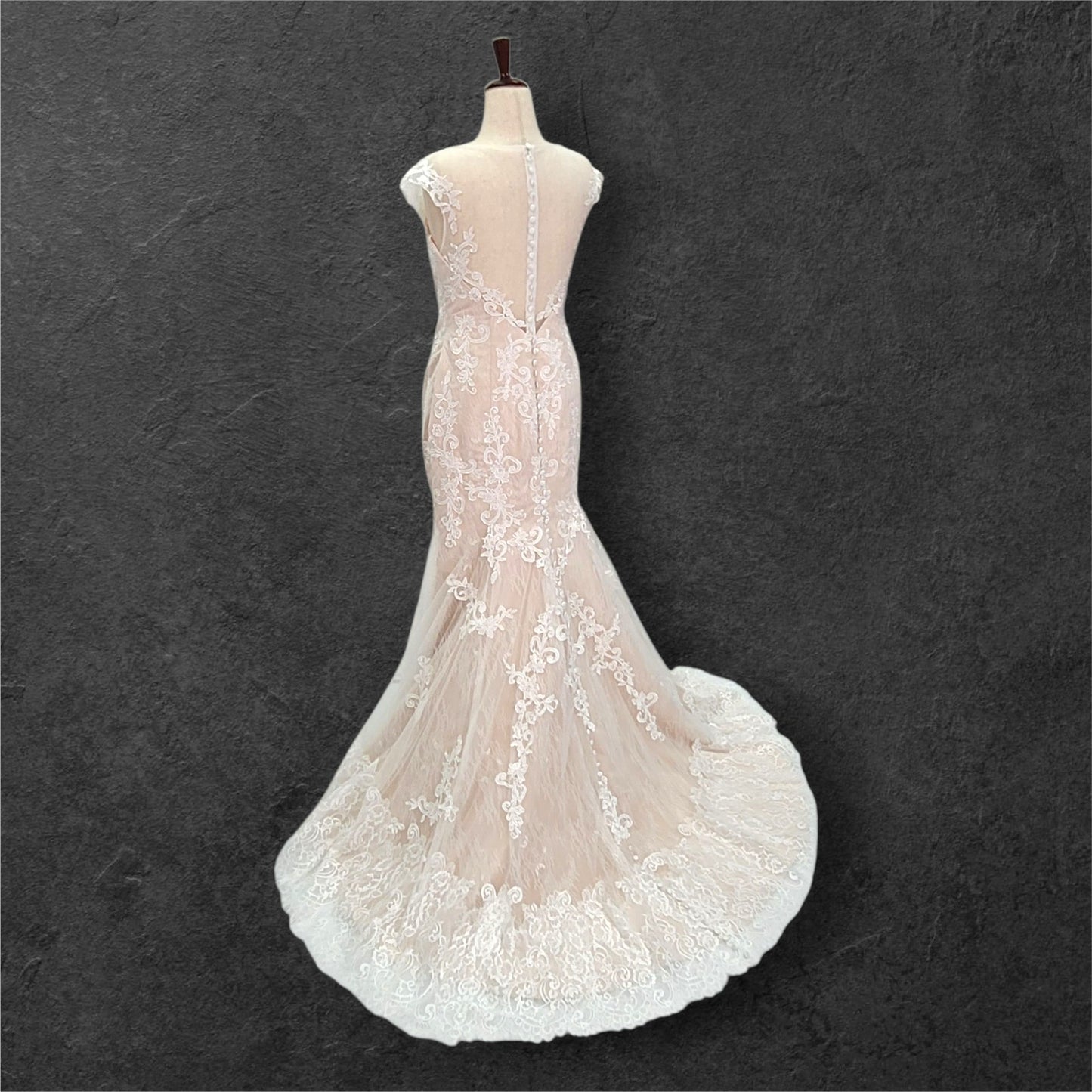 Beige Fit N Flair Cap Sleeve Wedding Dress with Mesh Back and Lace Overlay