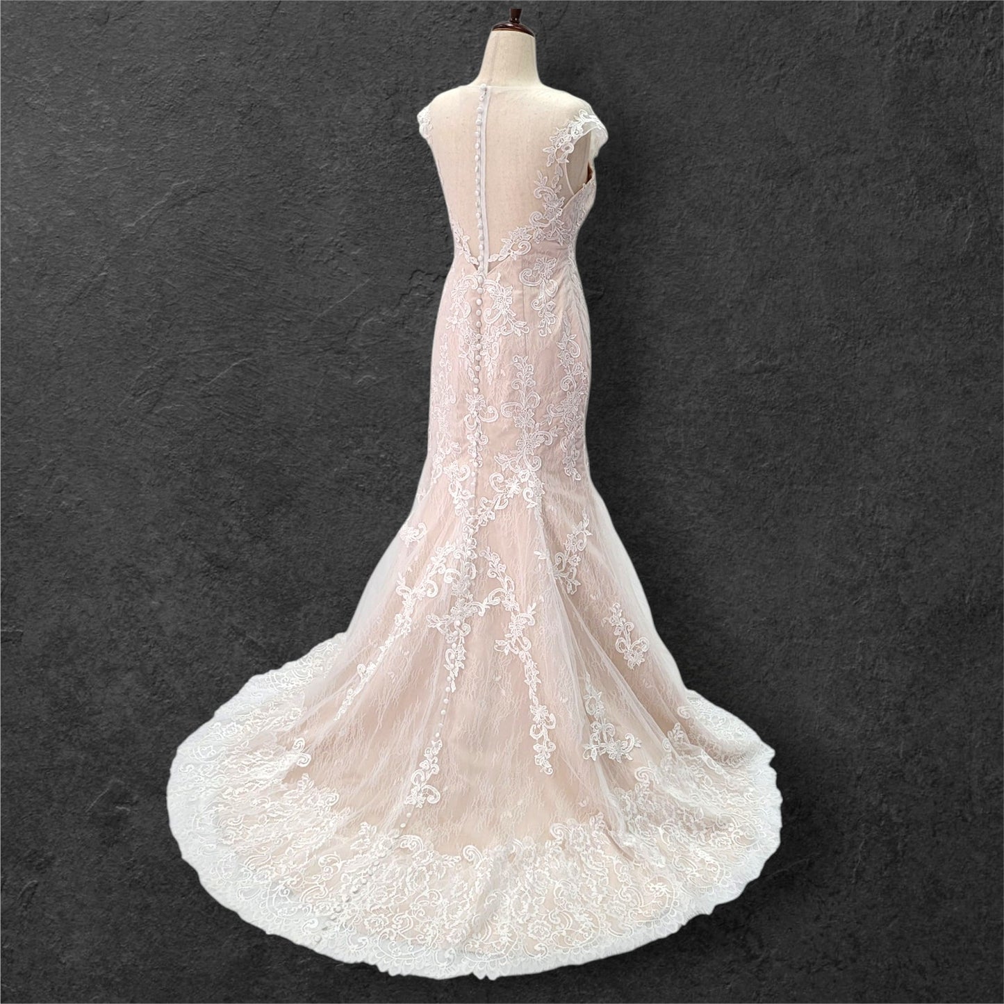 Beige Fit N Flair Cap Sleeve Wedding Dress with Mesh Back and Lace Overlay
