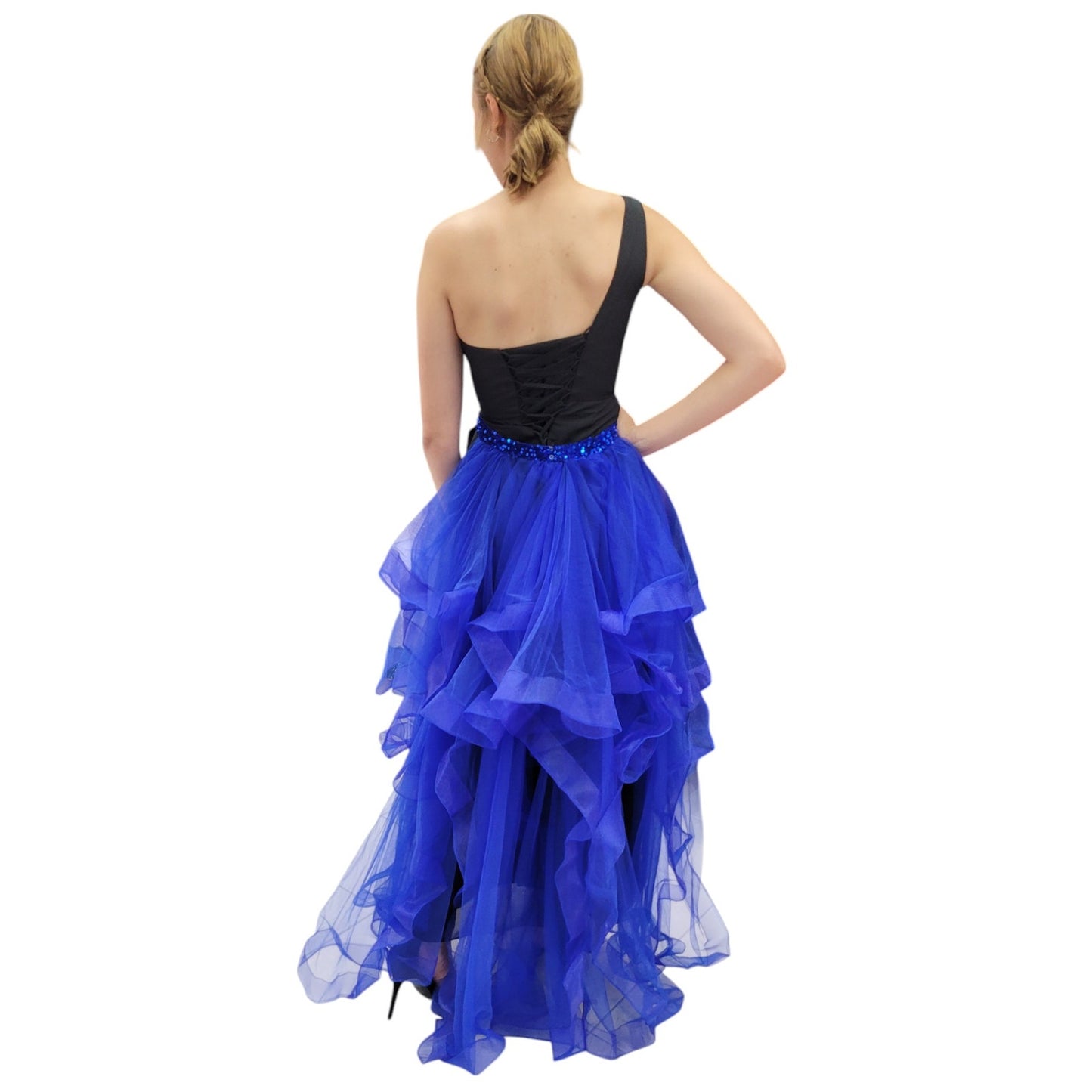 Detachable Royal Blue Tulle Skirt