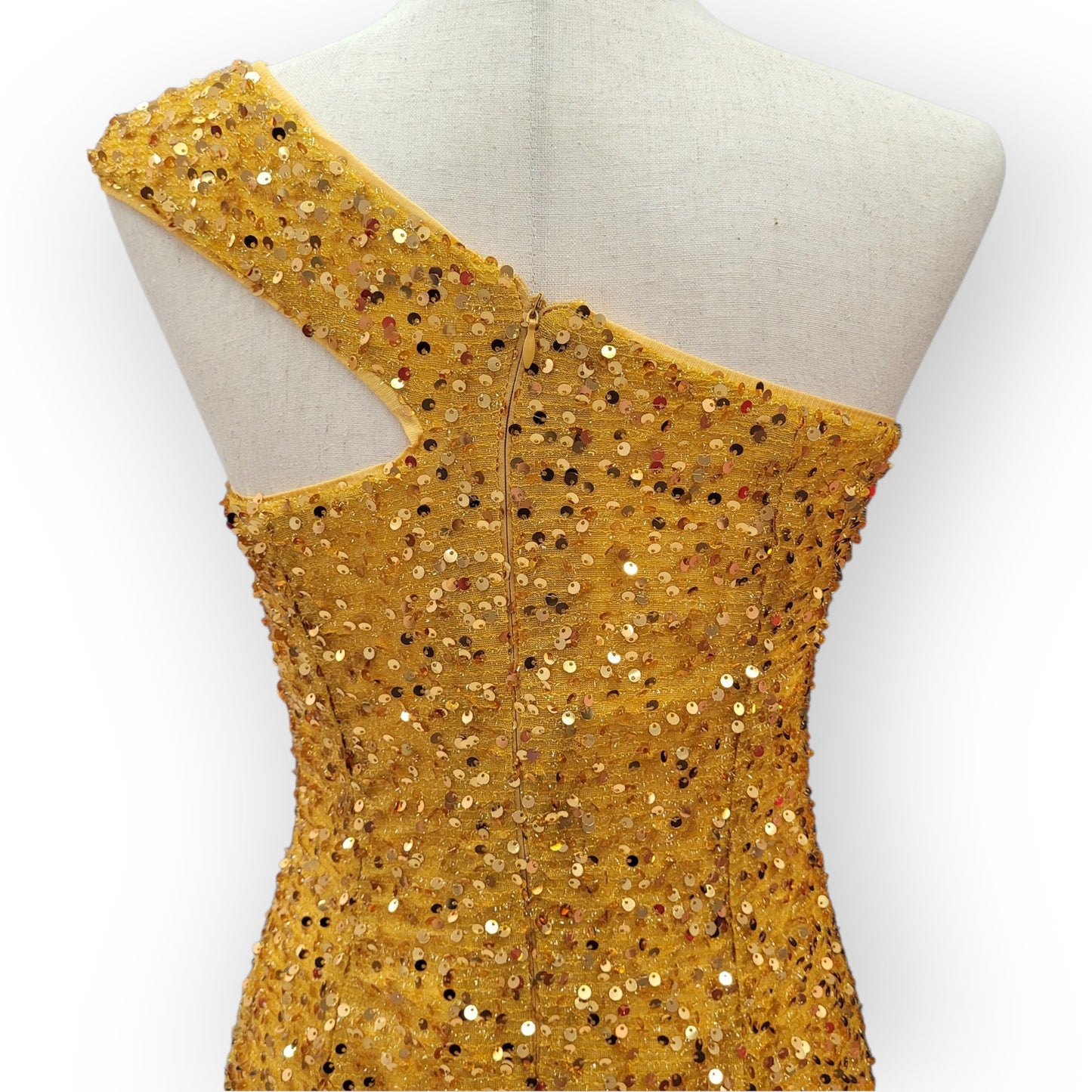 Fitted Gold Sequin Gown with Asymmetric Shoulder Strap