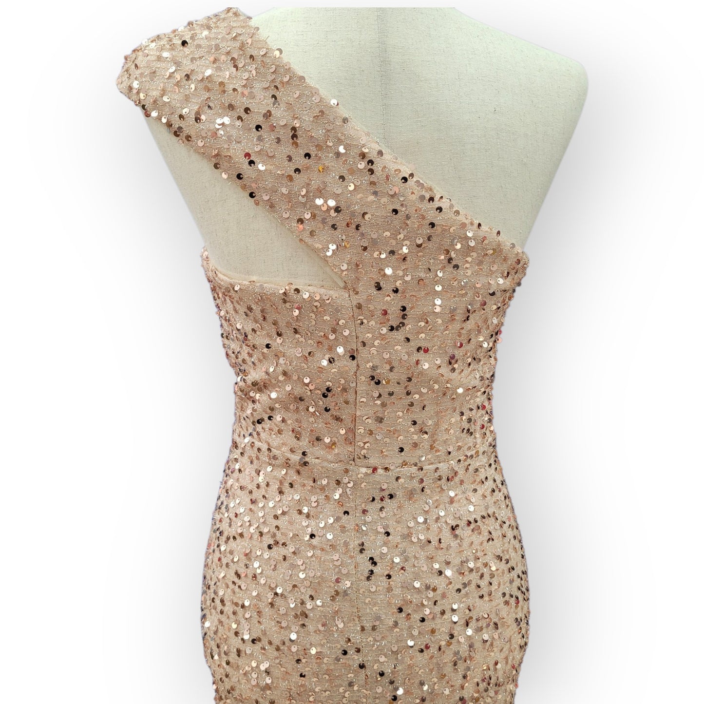 Fitted Beige Champagne Sequin Gown with Asymmetric Shoulder Strap