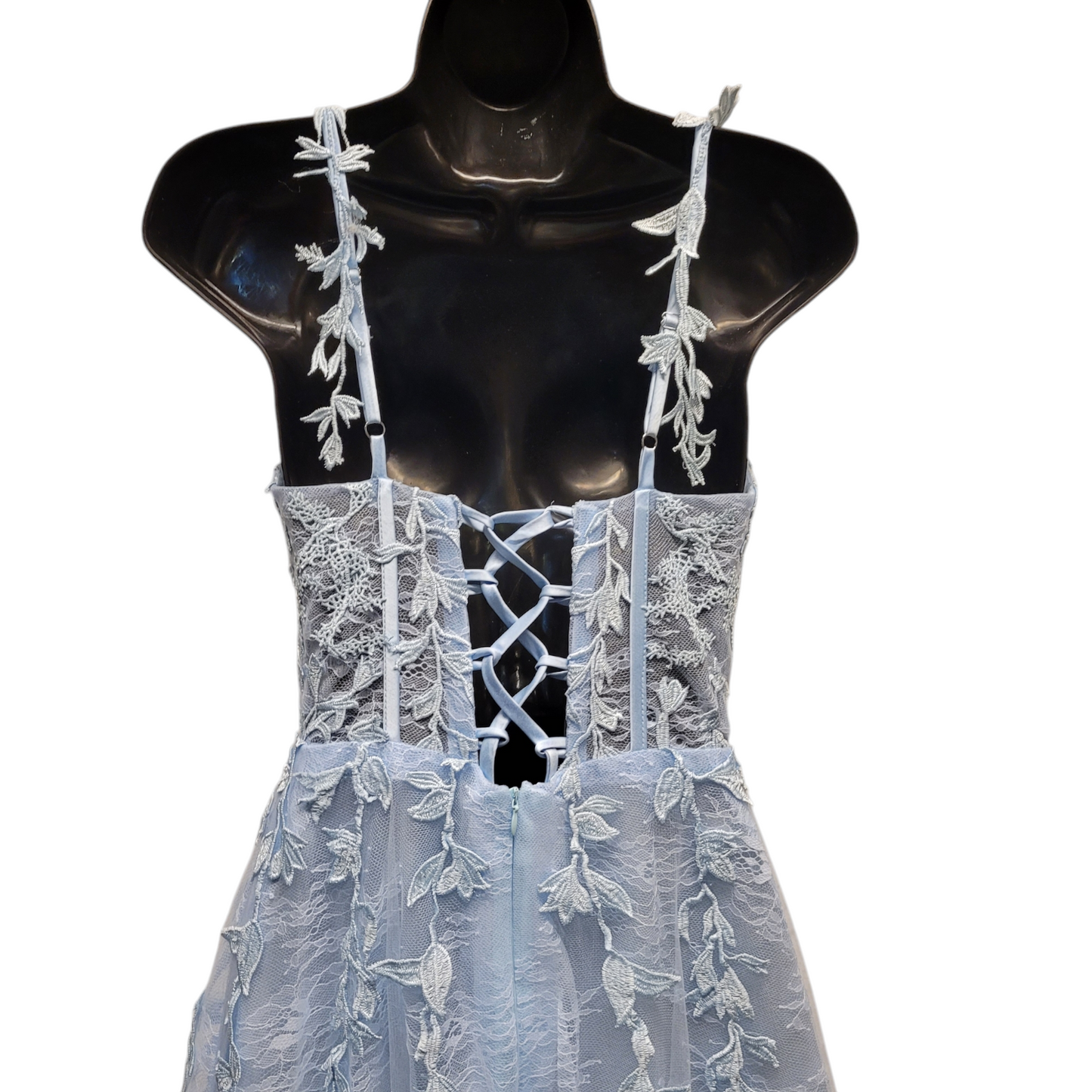 Icy Blue Vine Corset Dress