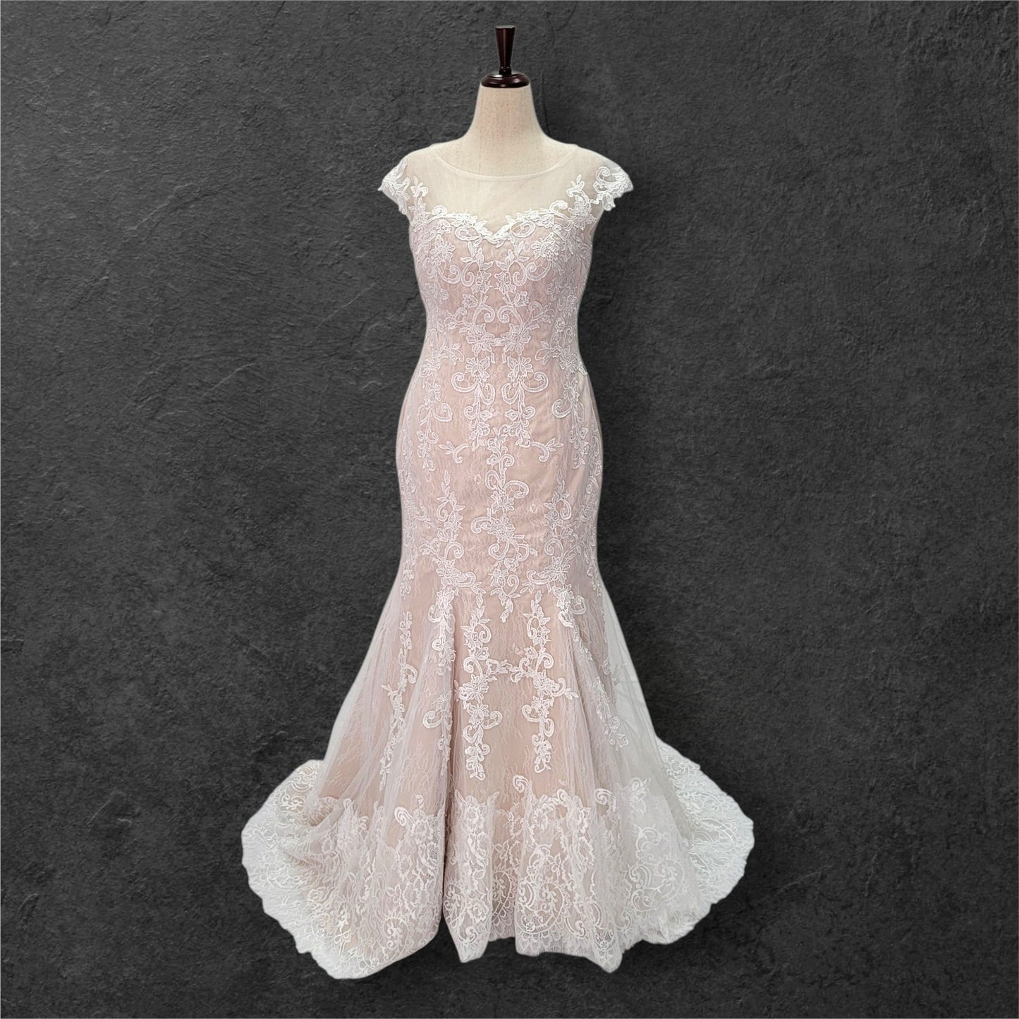 Beige Fit N Flair Cap Sleeve Wedding Dress with Mesh Back and Lace Overlay