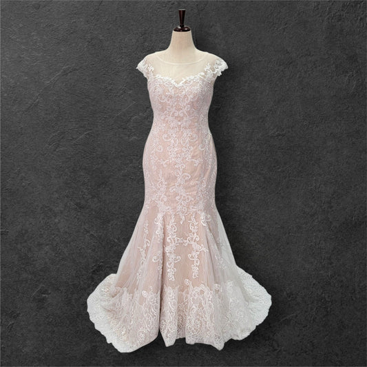 Beige Fit N Flair Cap Sleeve Wedding Dress with Mesh Back and Lace Overlay