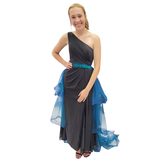 Detachable Teal Tulle Skirt
