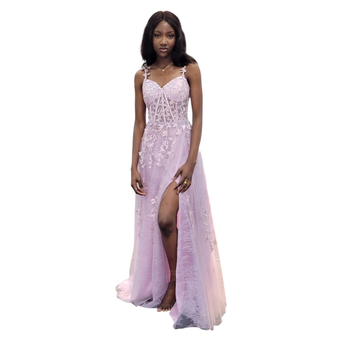 Vine Dress with Semi Sheer Bodice and Classic A Line Skirt