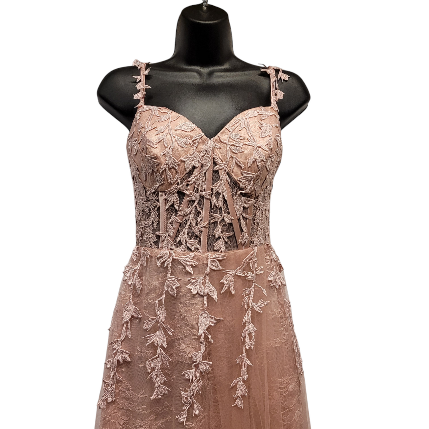 Light Ballet Pink Vine Corset Dress