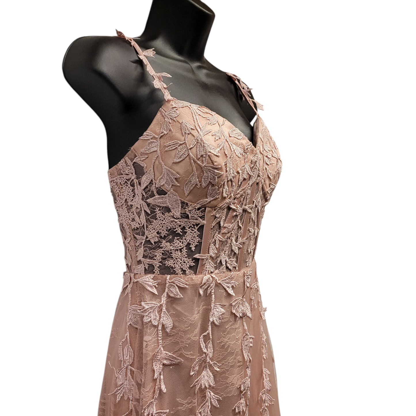 Light Ballet Pink Vine Corset Dress