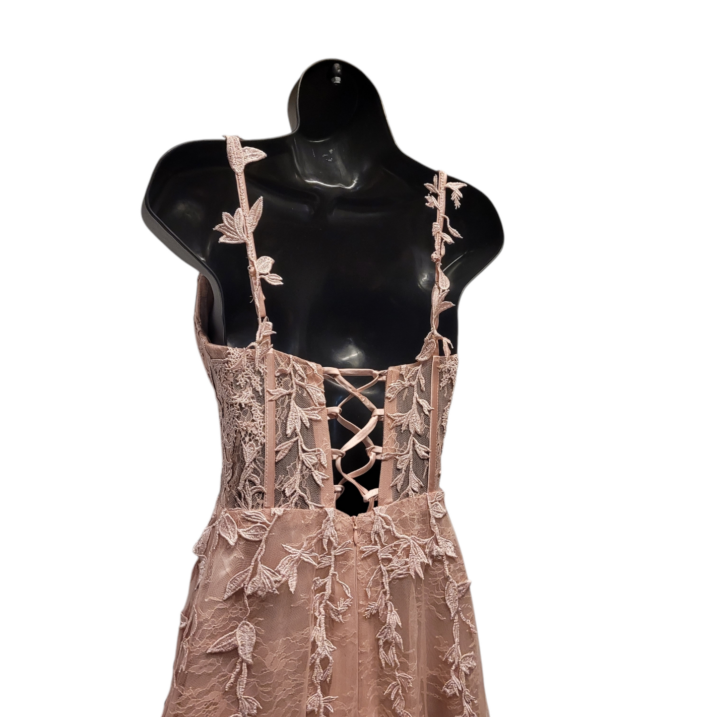Light Ballet Pink Vine Corset Dress