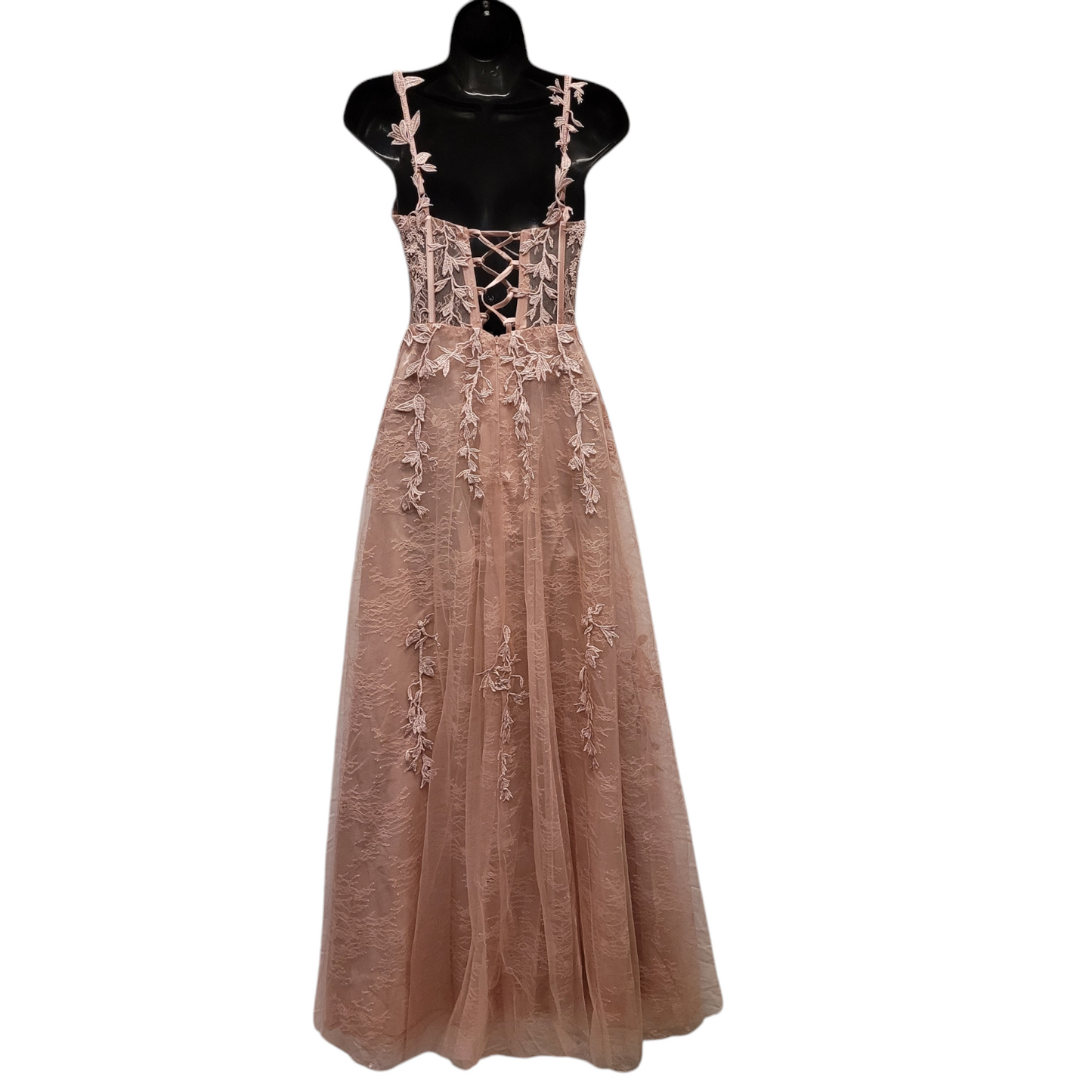 Light Ballet Pink Vine Corset Dress
