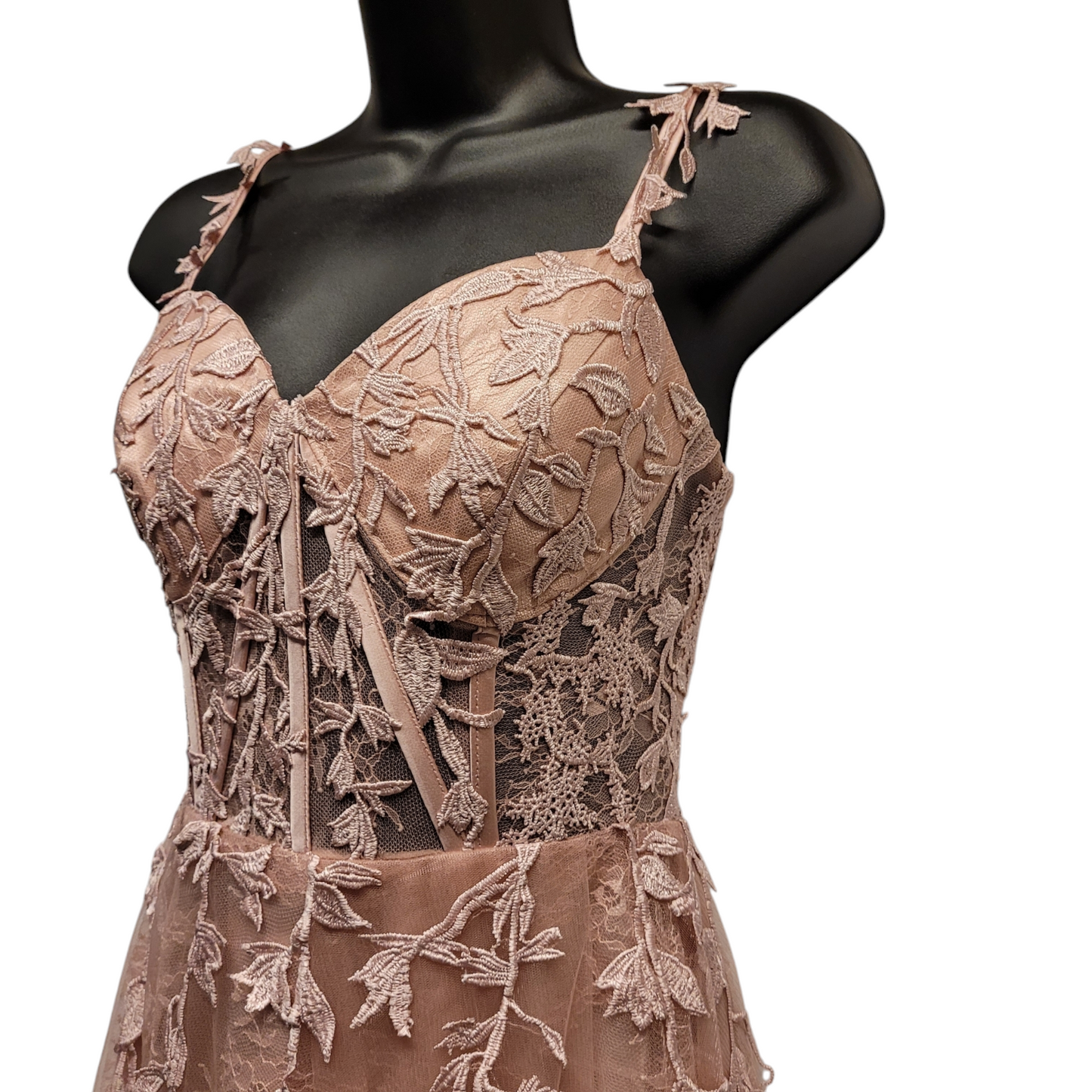 Light Ballet Pink Vine Corset Dress