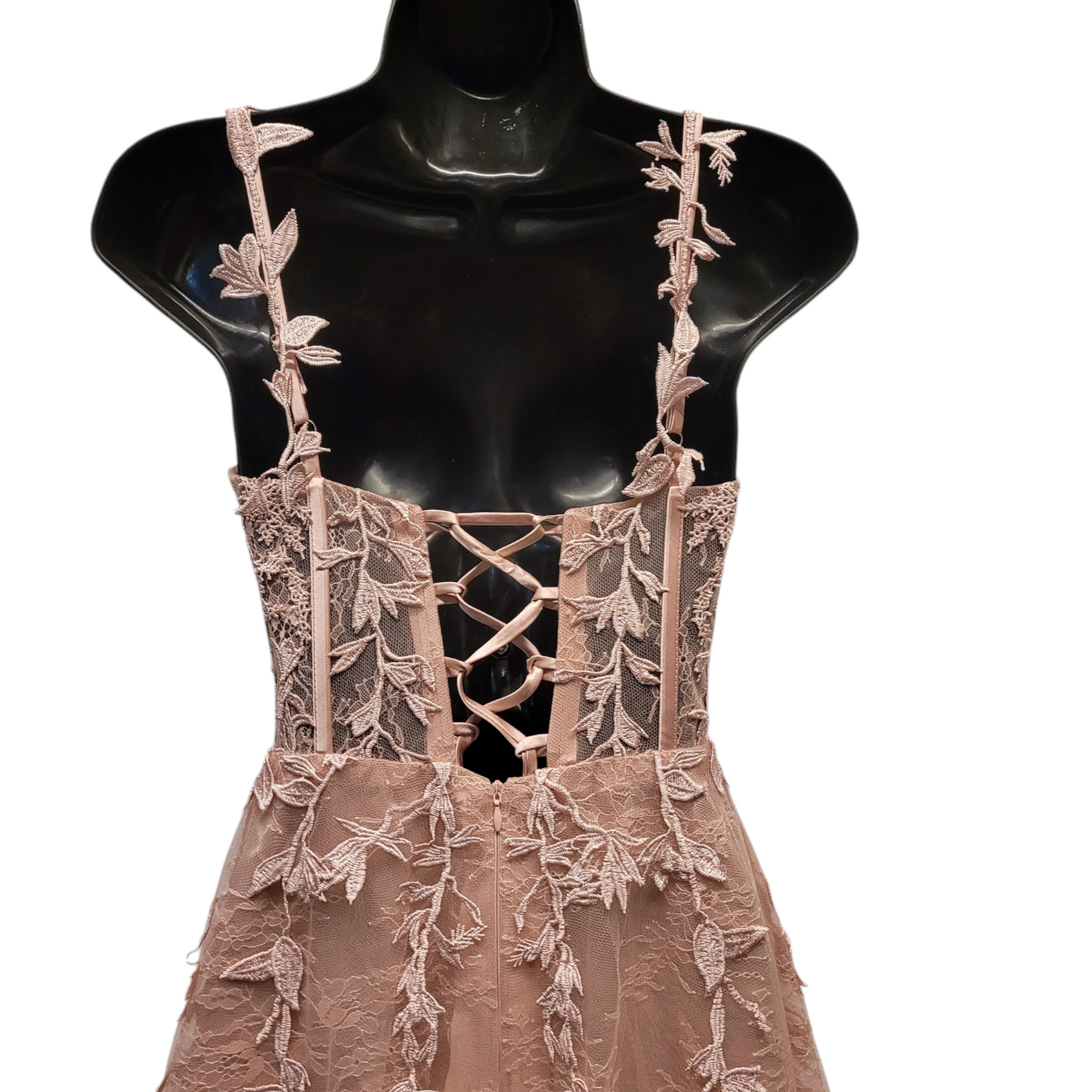 Light Ballet Pink Vine Corset Dress