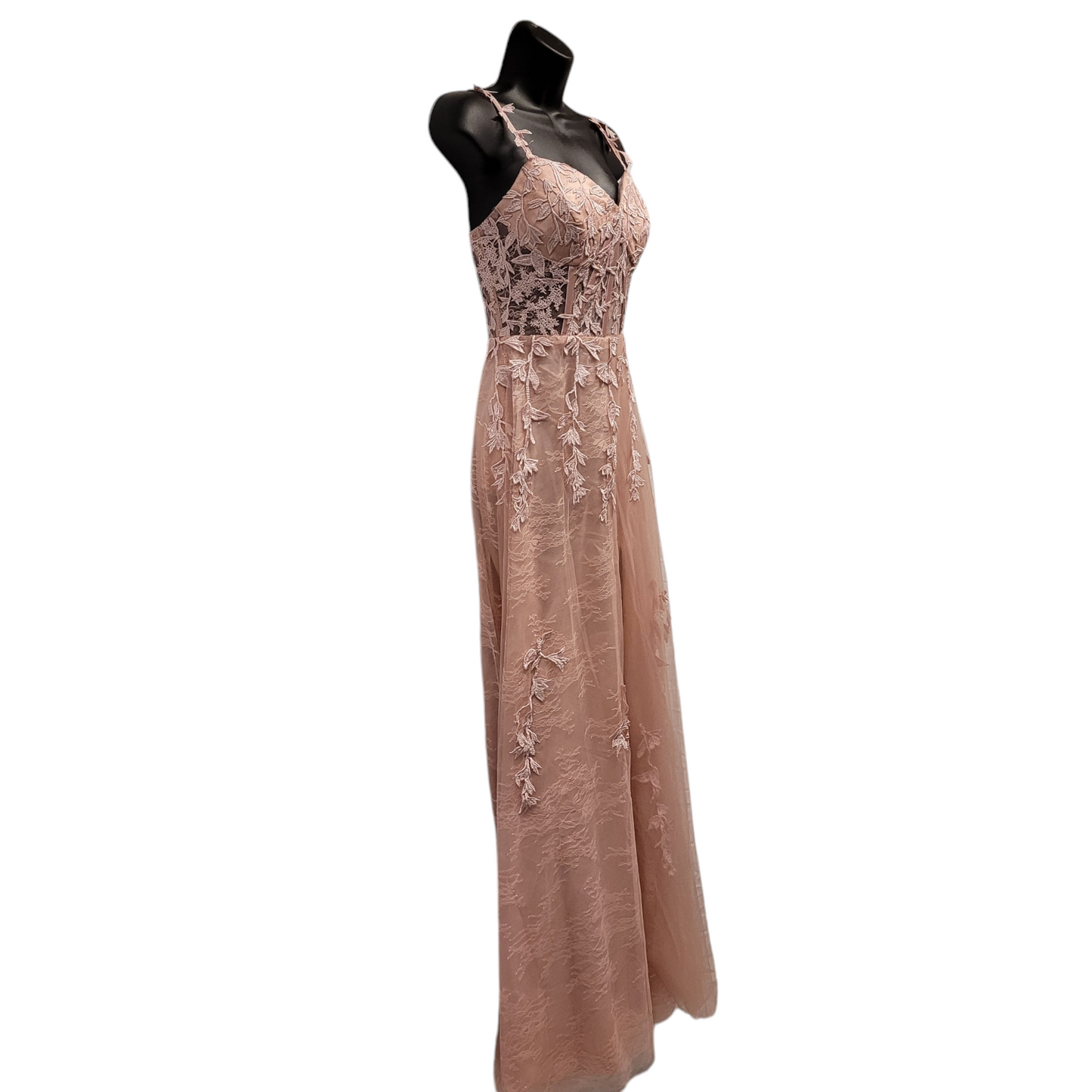 Light Ballet Pink Vine Corset Dress